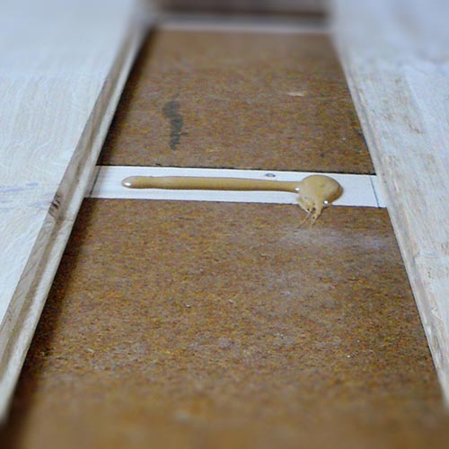 Fibra di legno FiberTherm Floor massetto a secco